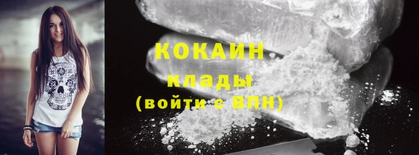 стаф Балахна
