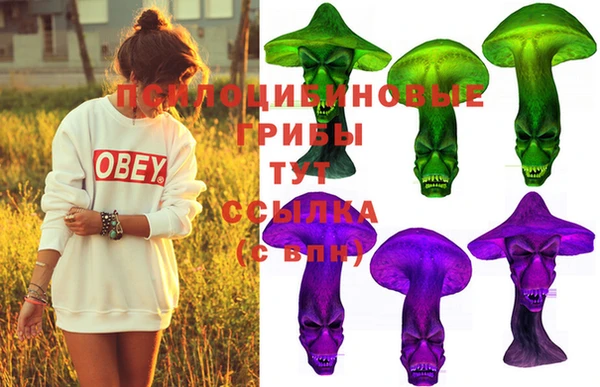 стаф Балахна