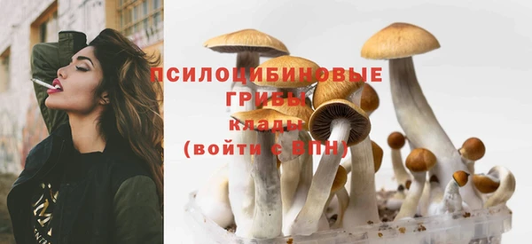 спиды Баксан