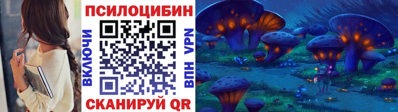 наркошоп  OMG   Псилоцибиновые грибы Psilocybe  Белогорск 